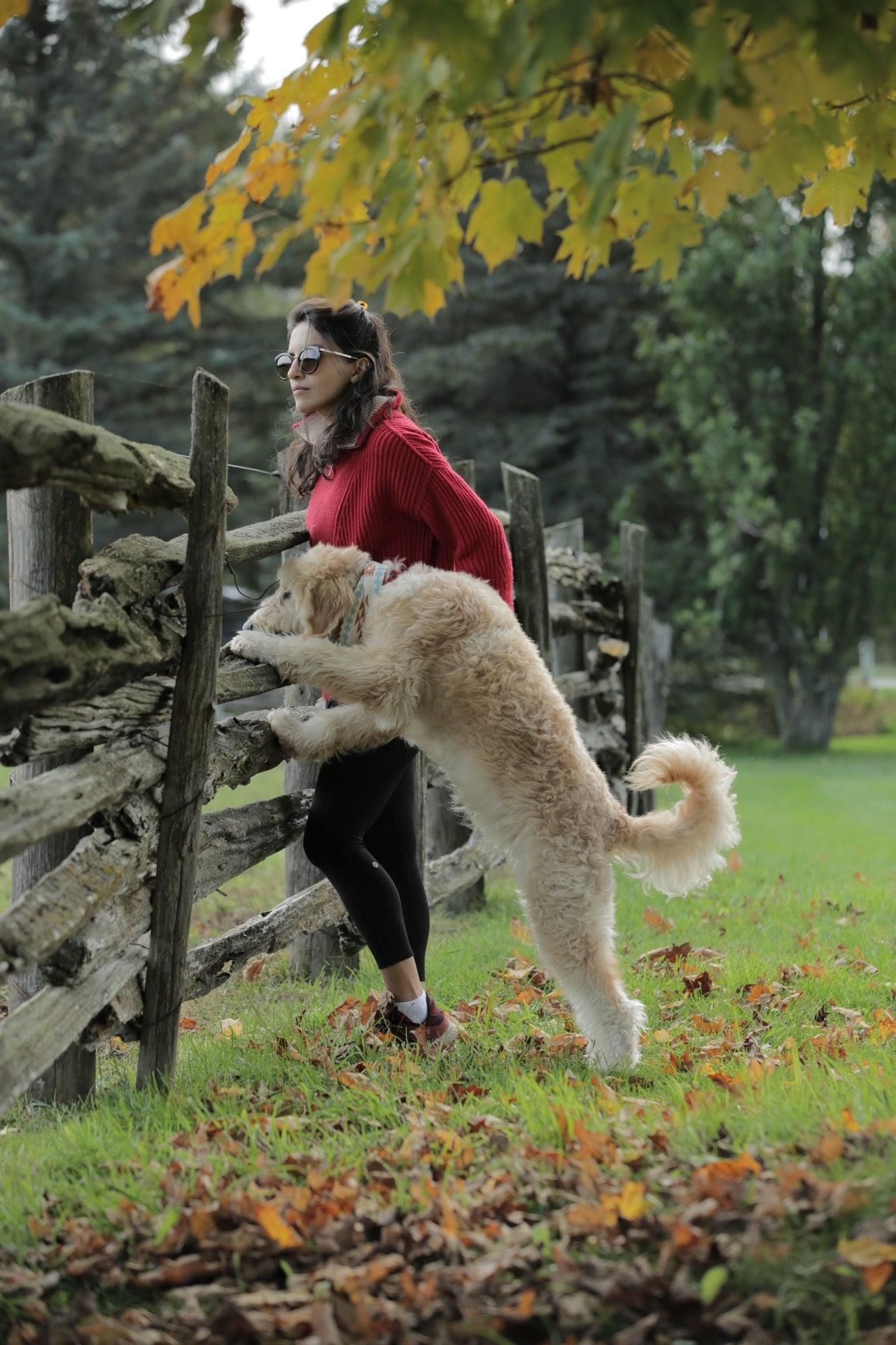 Heatherlea Farm Shoppe