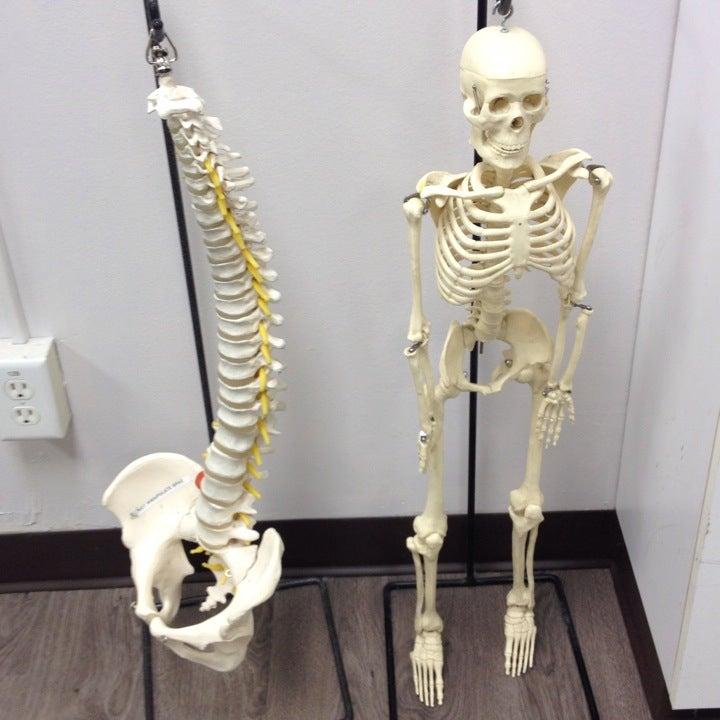 Concordia Physio Sport