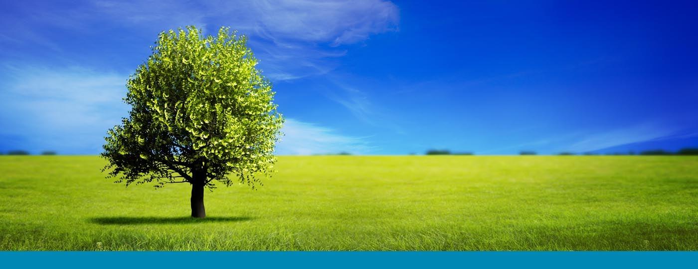 Jad Environmental Services