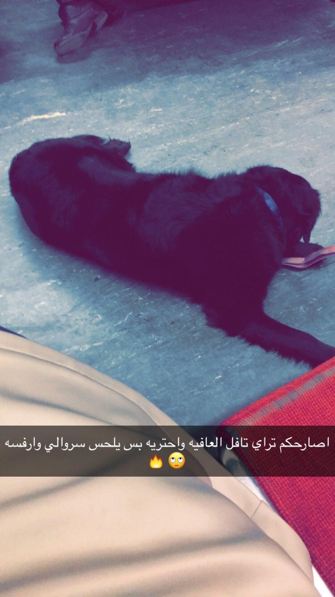 Danforth Soccer 2004