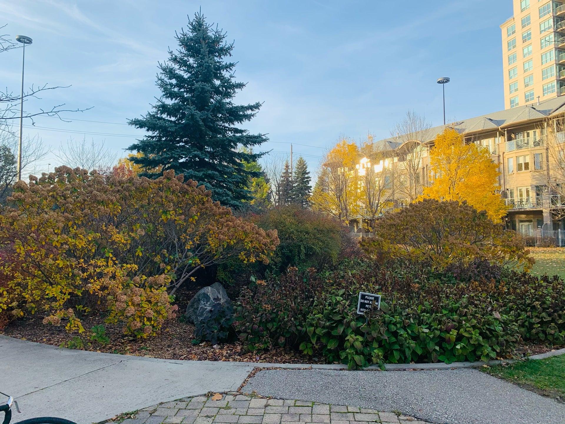 Jean Augustine Park