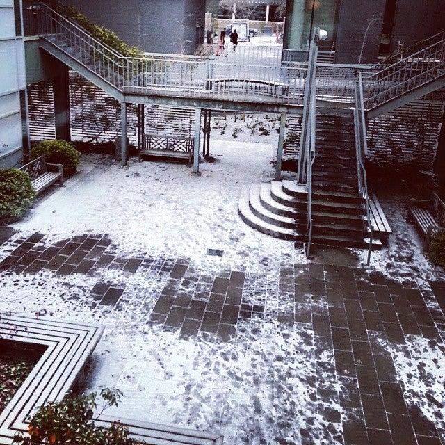 UBC English Language Institute