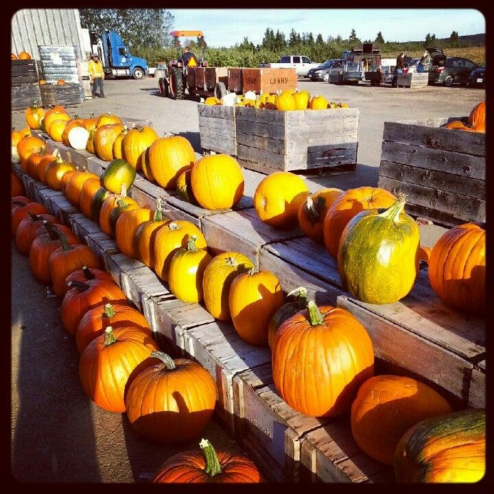 Verger Belliveau Orchard