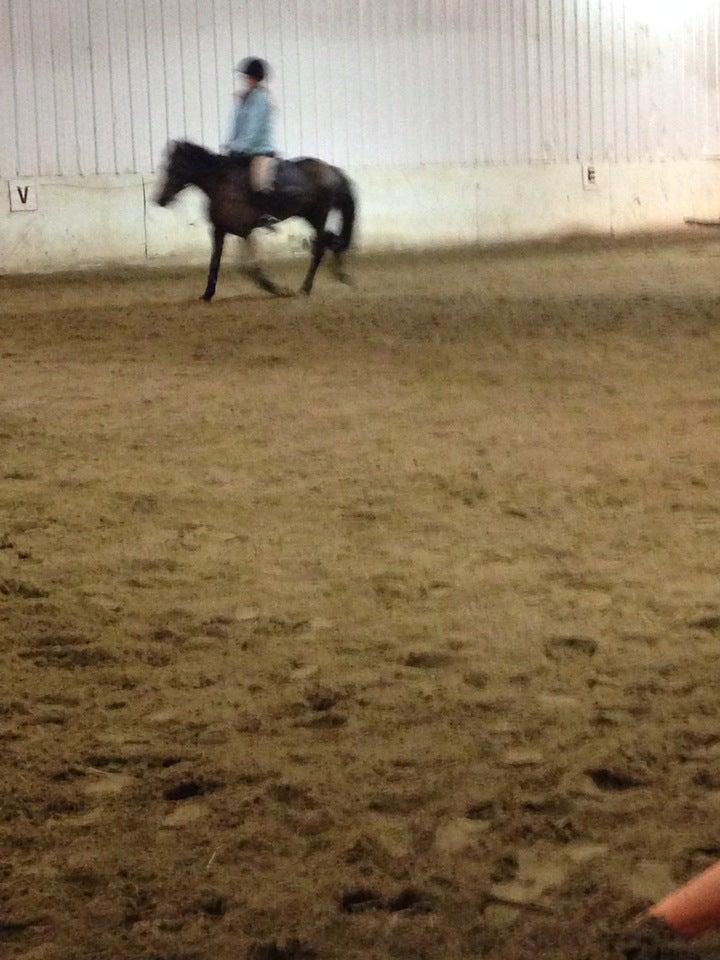 Centre Équestre des Mille-Îles