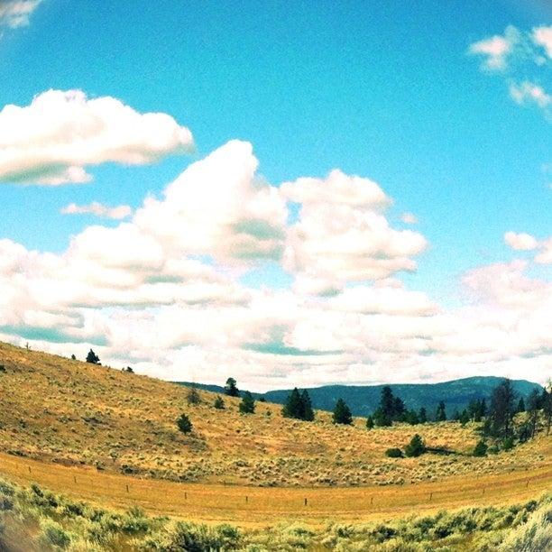 Lansdowne Village Holdings Ltd