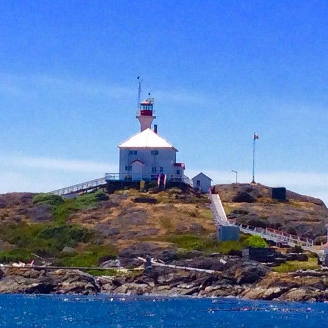 Prince of Whales - Whale Watching Adventures
