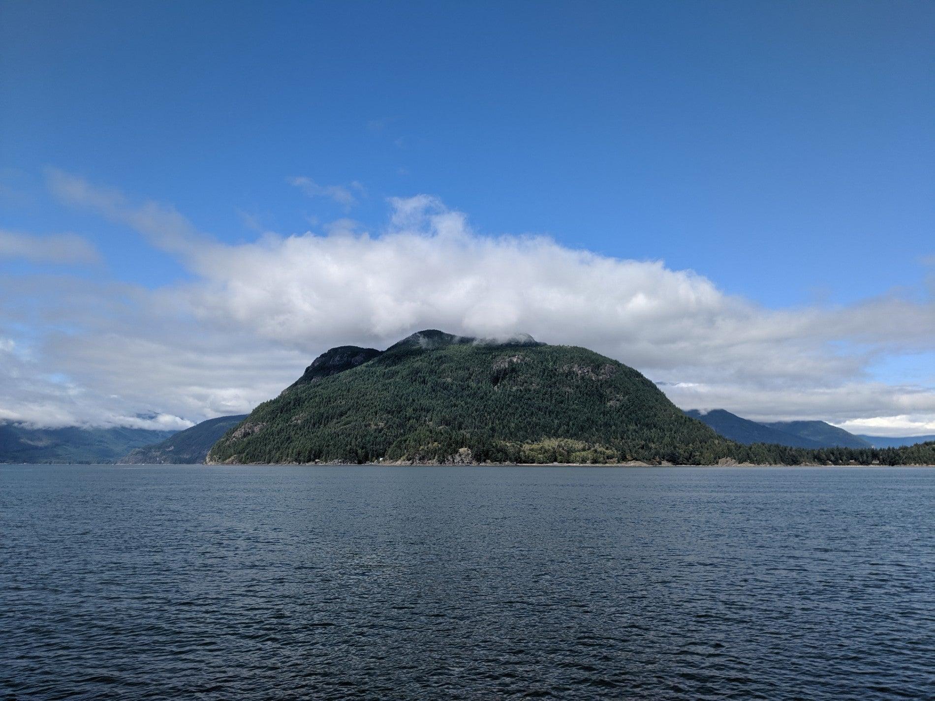 Prince of Whales Whale Watching Granville Island