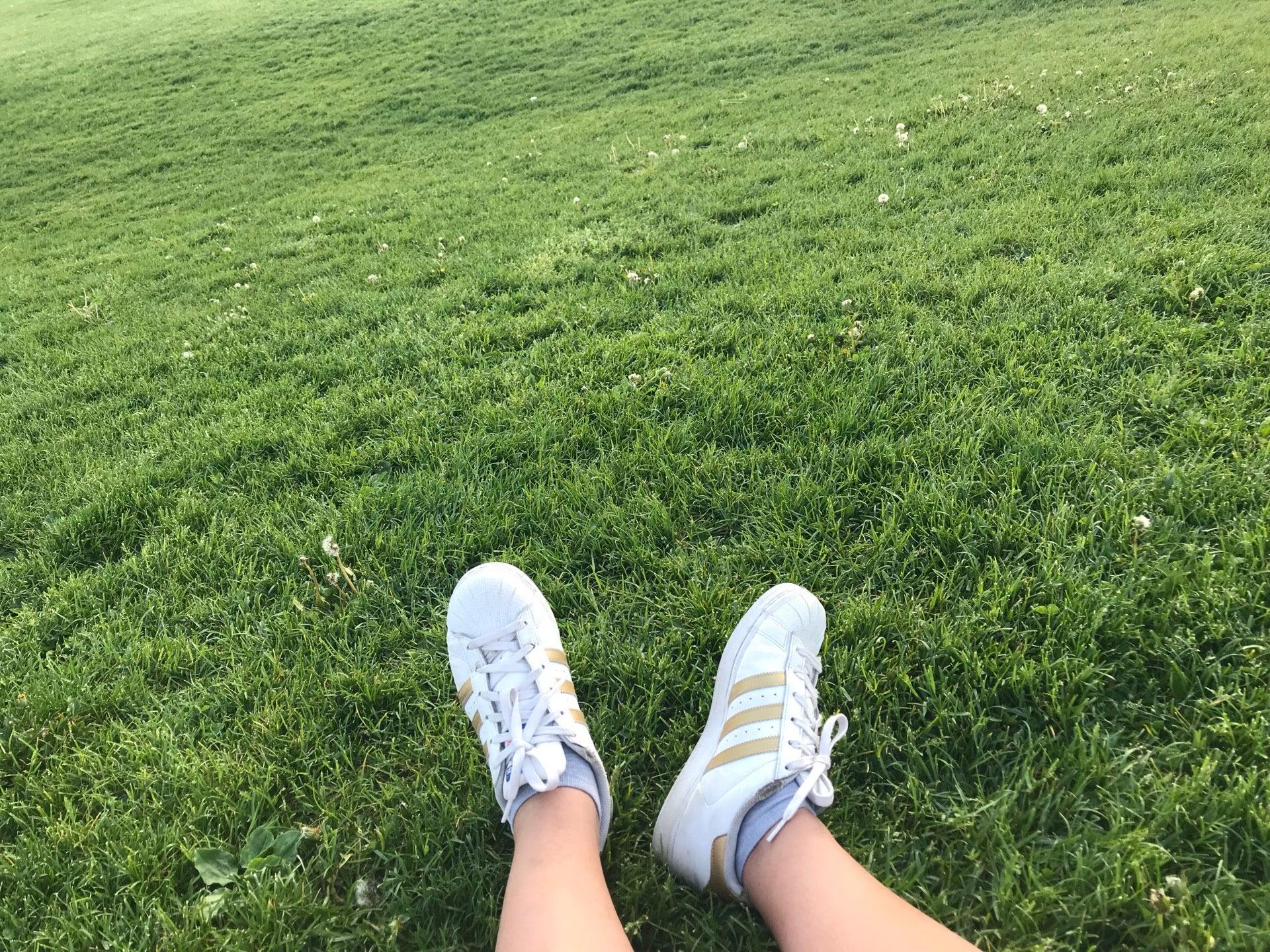 Hillview Elementary-School District No 22