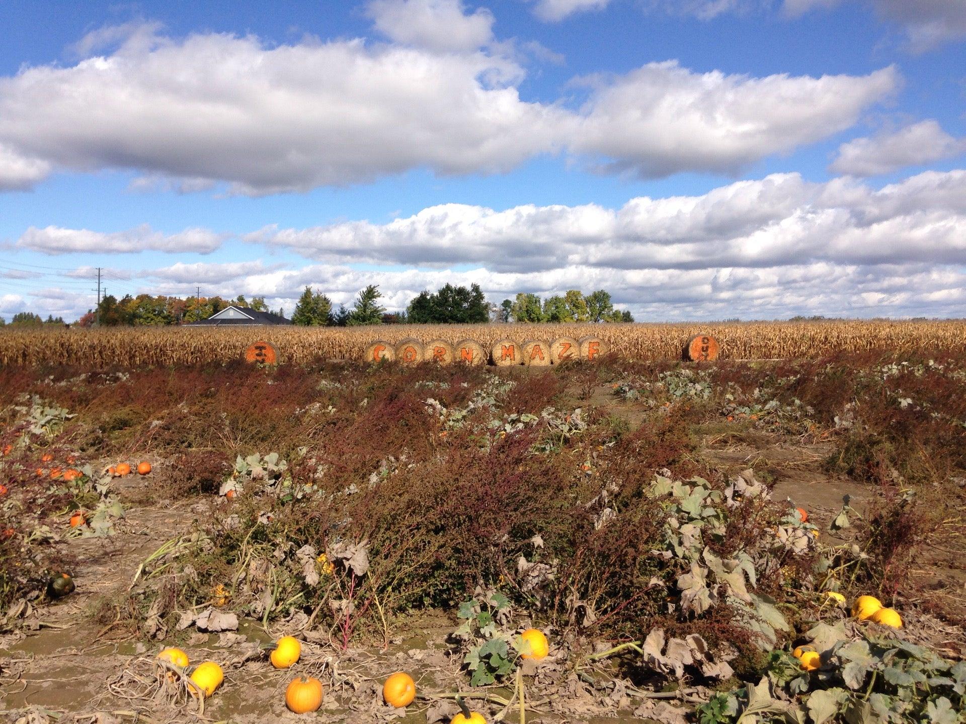 Murphy's Farm Market & Bakery
