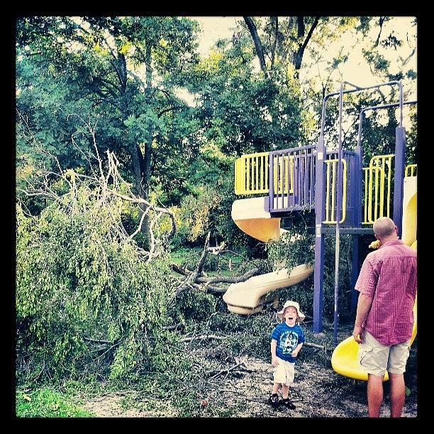 King Edward Public School