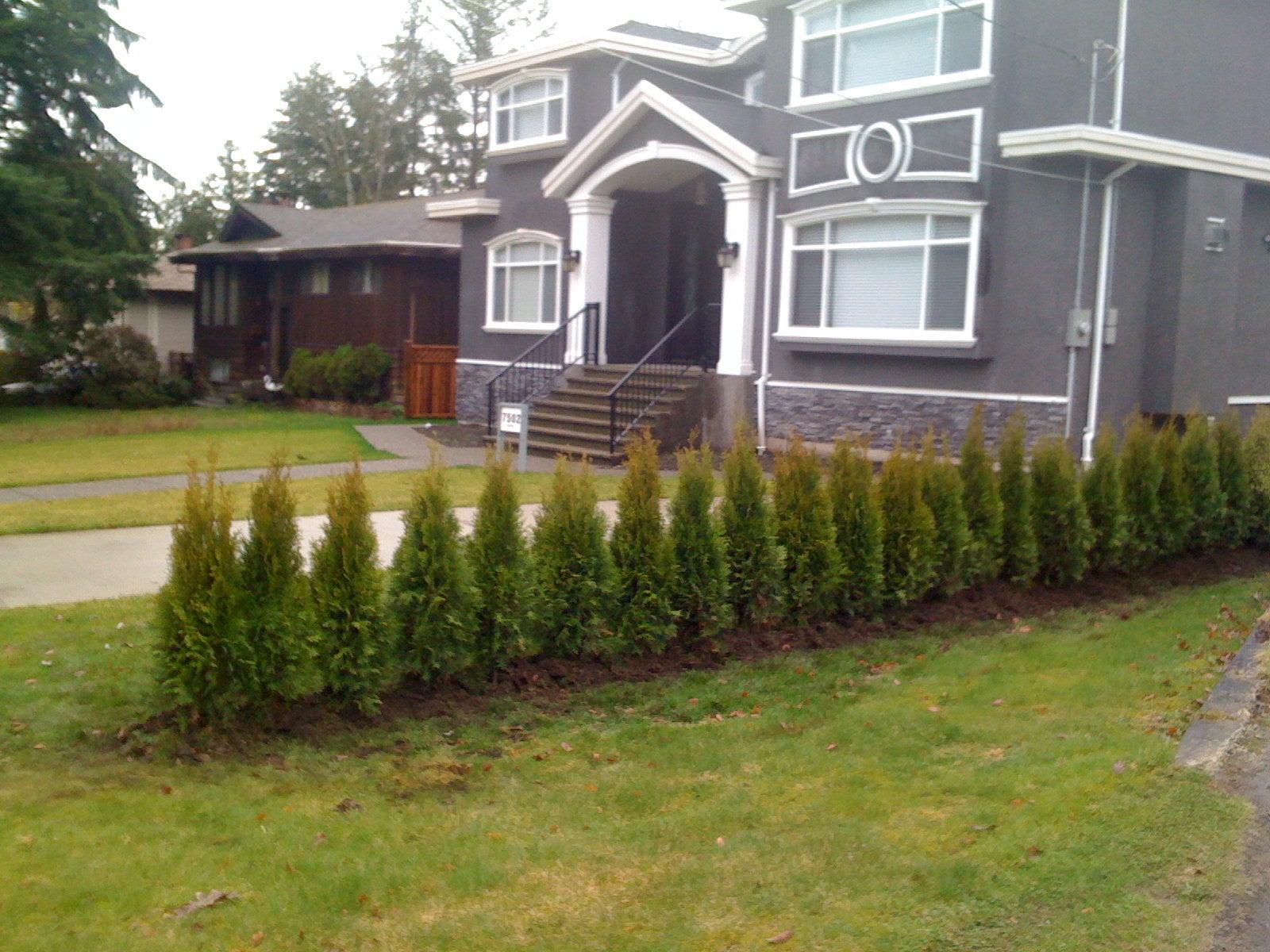 My Fraser Green Landscaping