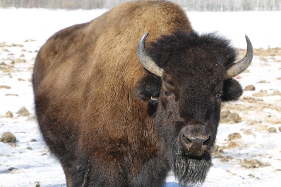 Fotopaseo Auroras Boreales