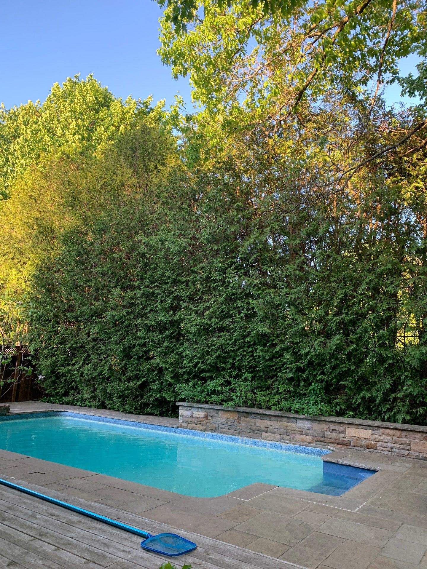 The Greek Souvlaki House