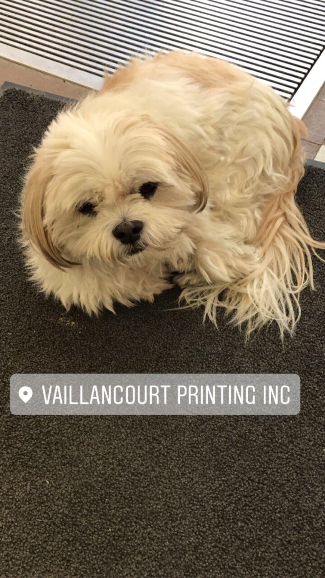 Imprimerie Vaillancourt Inc