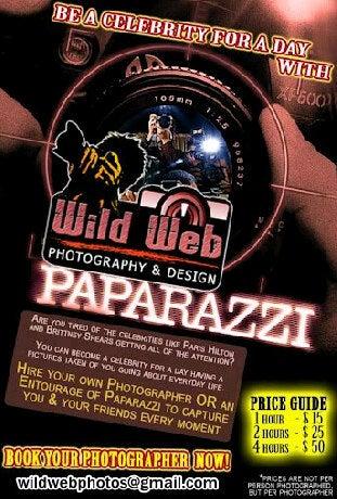 Wild Web Studios
