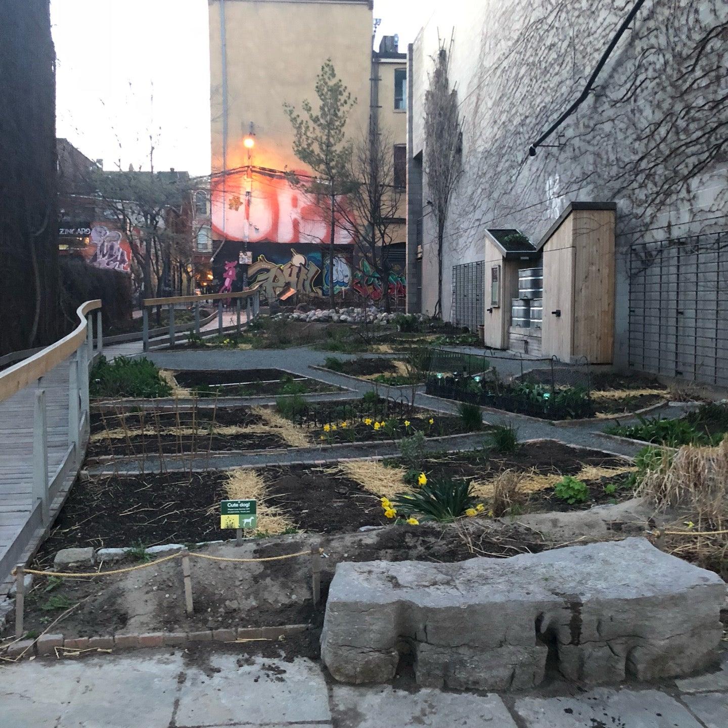 Alex Wilson Community Garden