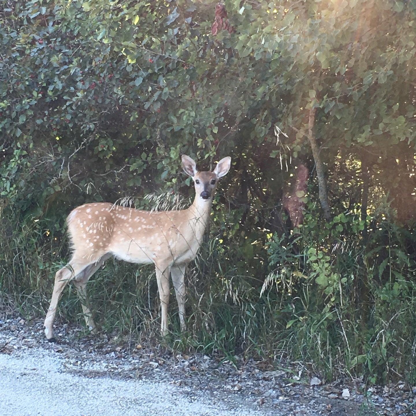 Quarry Physiotherapy
