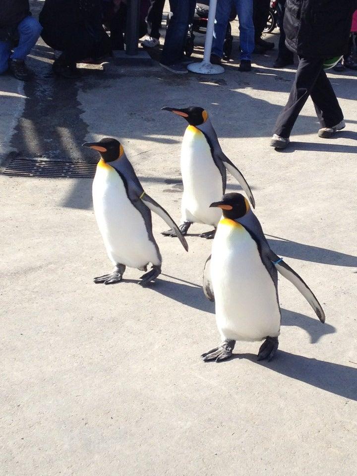 The Calgary Zoo