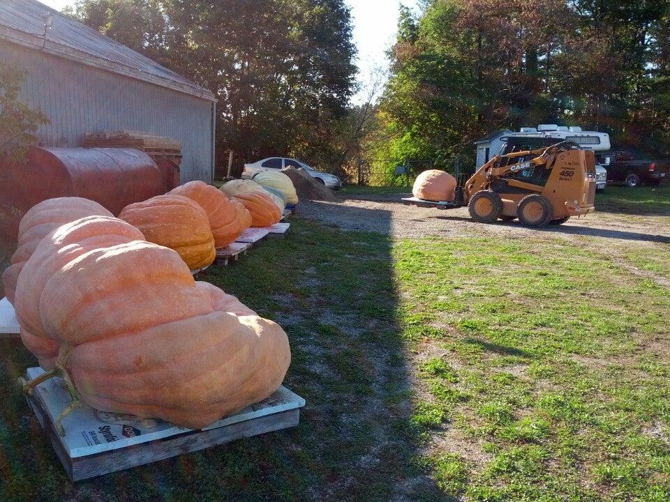 Woodbridge Fall Fair