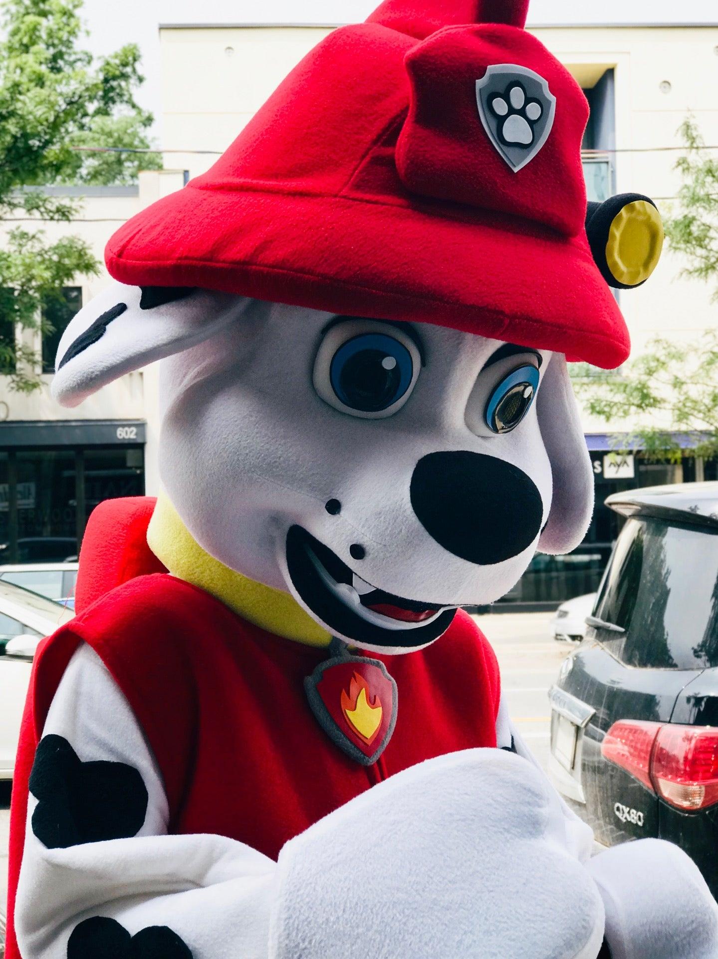 Little White Sneakers