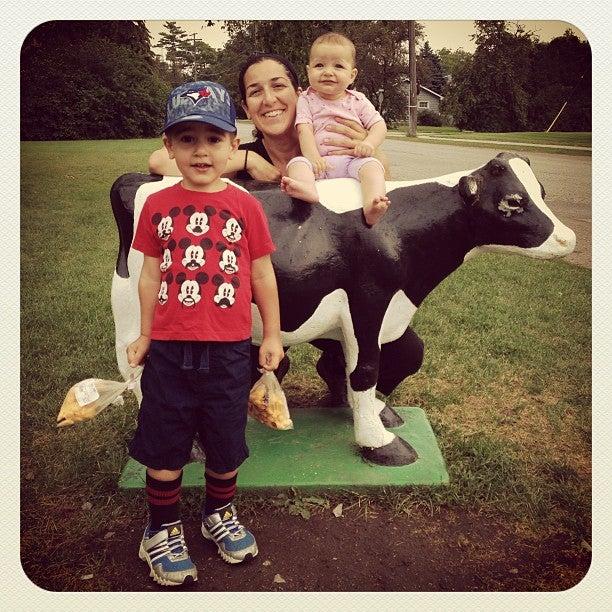 The Kawartha Dairy Co