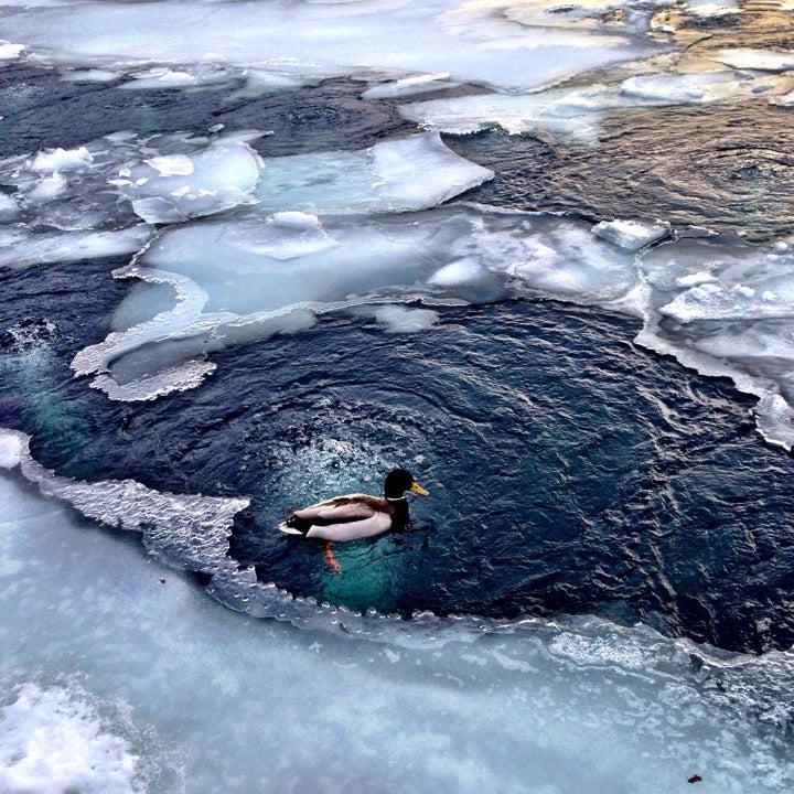 Toronto Harbourfront