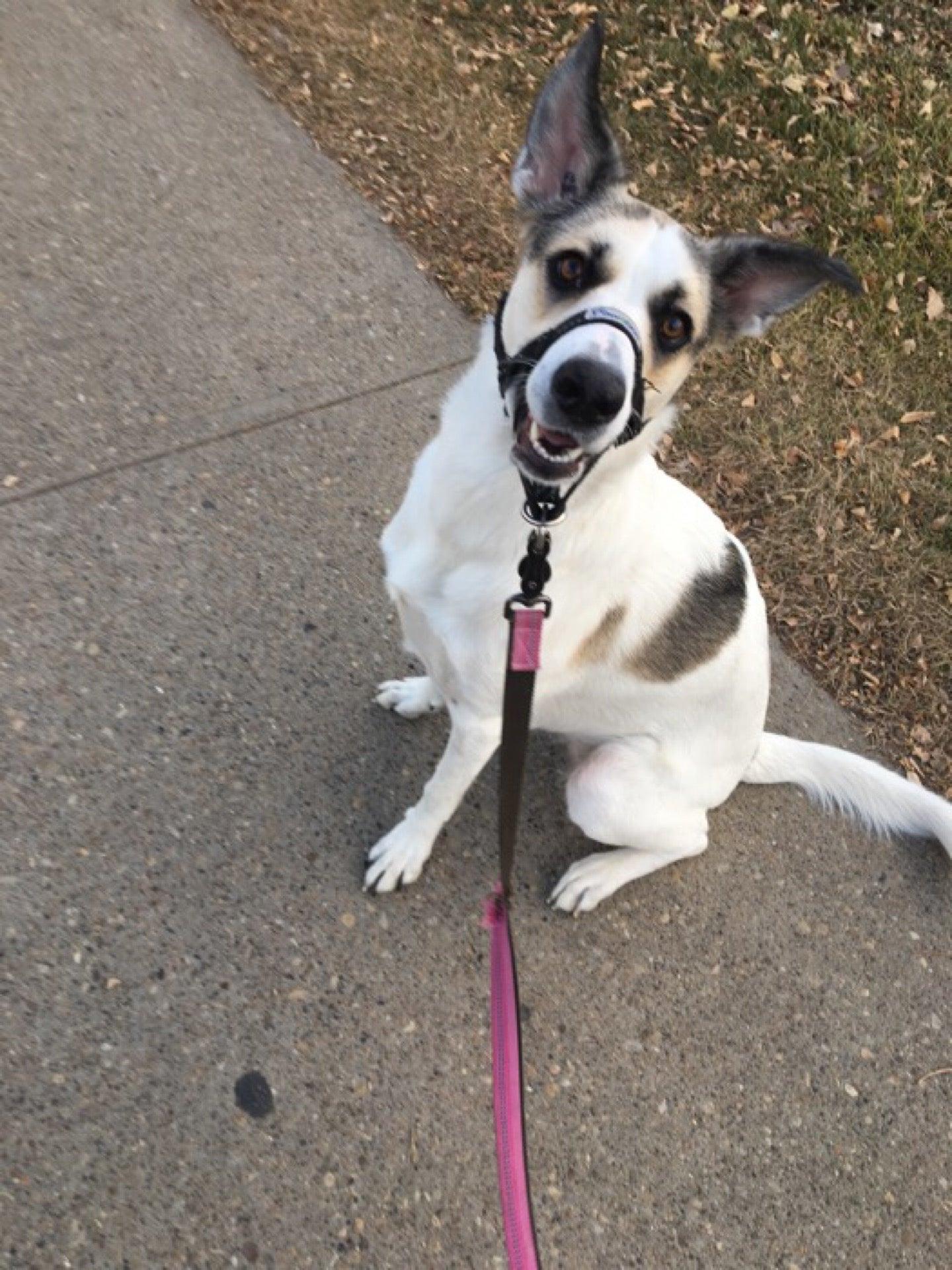 Edith Roger Junior High School