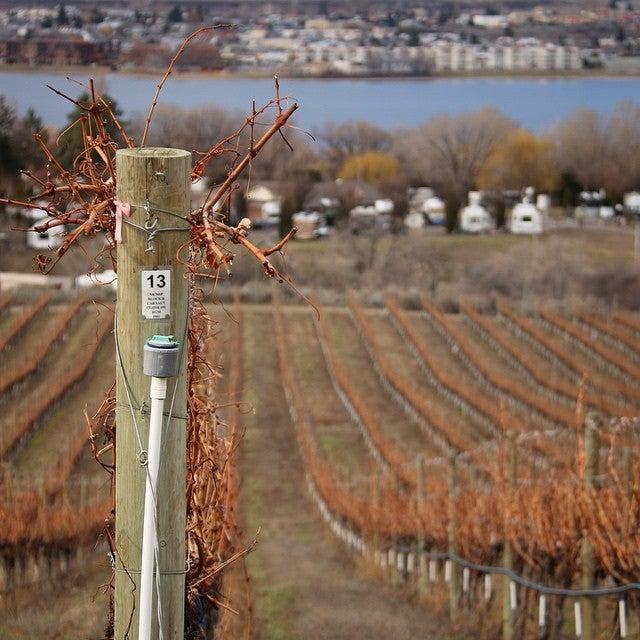 Spirit Ridge Resorts Sales Centre Inc