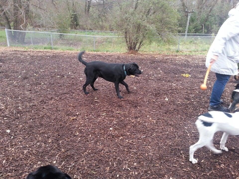 Chris Gibson Park - East Lot