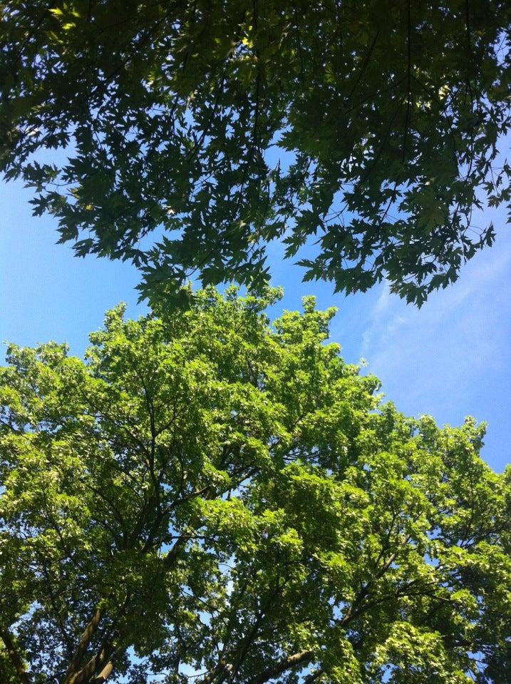 Fred Hamilton Playground