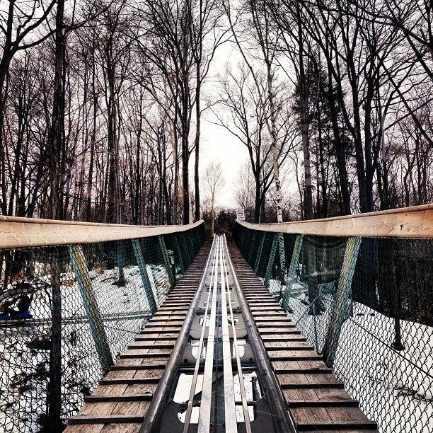 Ridge Runner Mountain Coaster