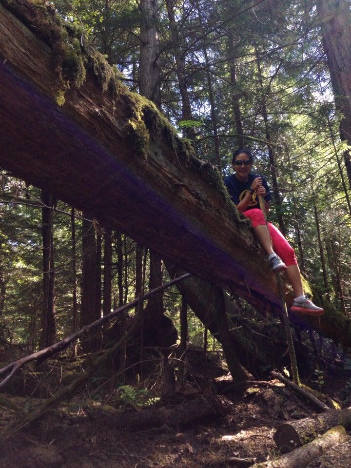 Comox Harbour Greenway