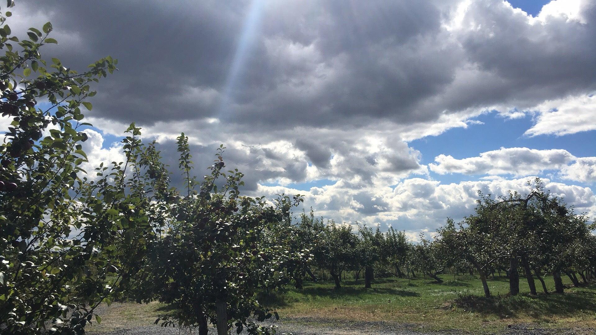 Les Jardins d'Emilie