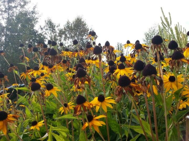 Taylor Park Elementary School