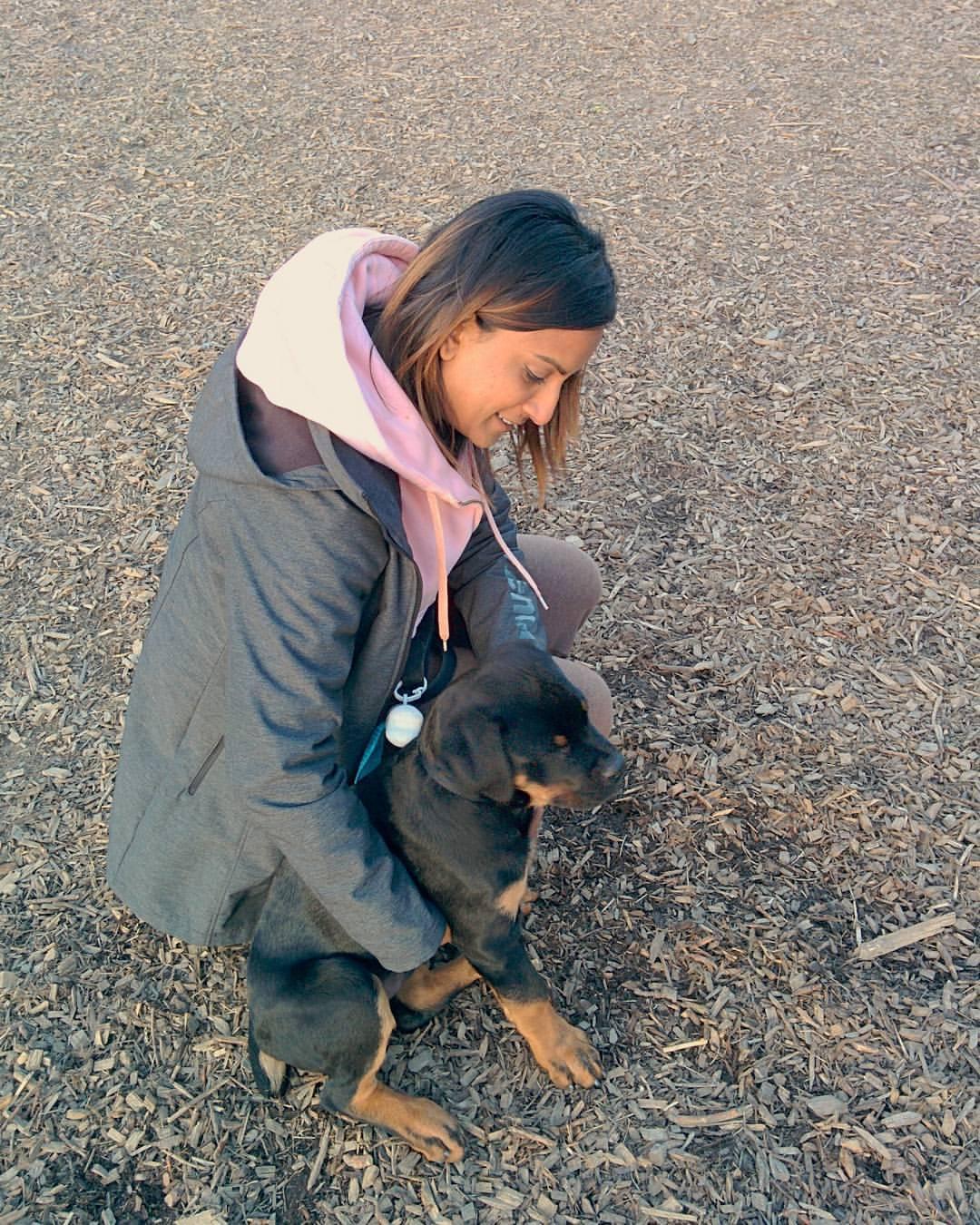 Quenippenon Meadows Leash Free Dog Park