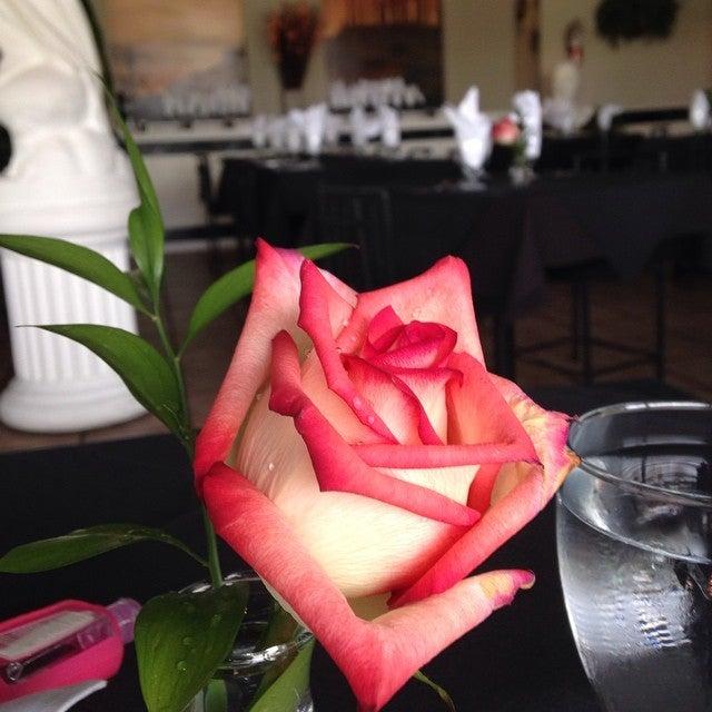 Pallas Athena Greek Kouzina