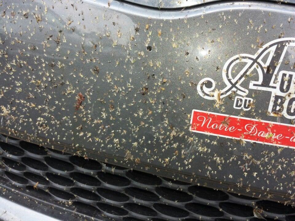 IGA Rodrigue & Filles