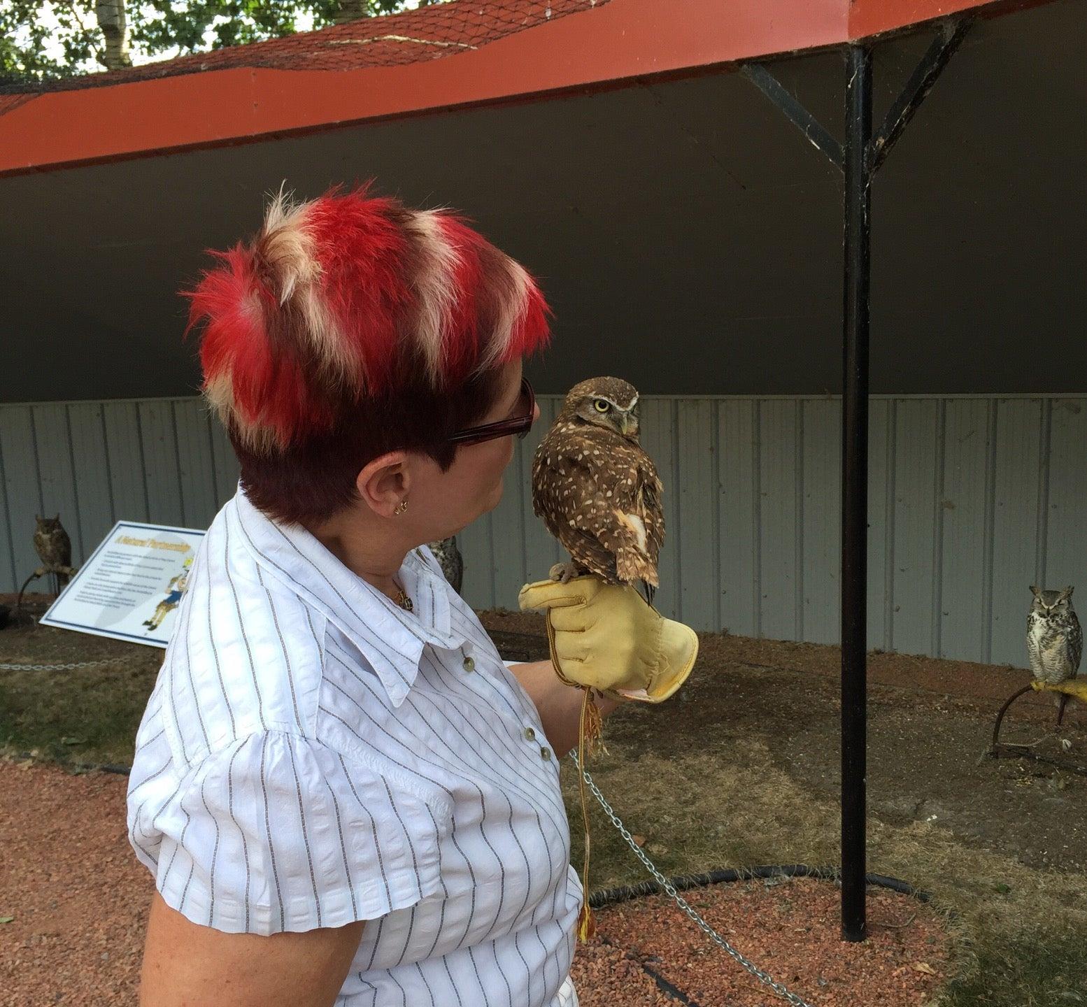Alberta Birds of Prey Centre