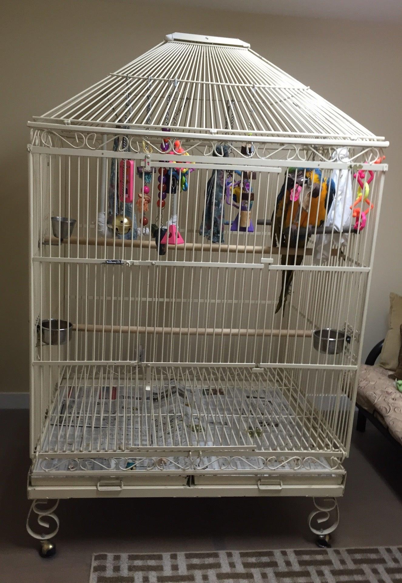 Catwalk Salon Spa