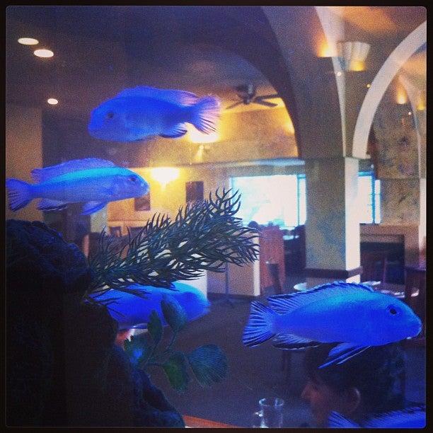 La Luna On The Mountain