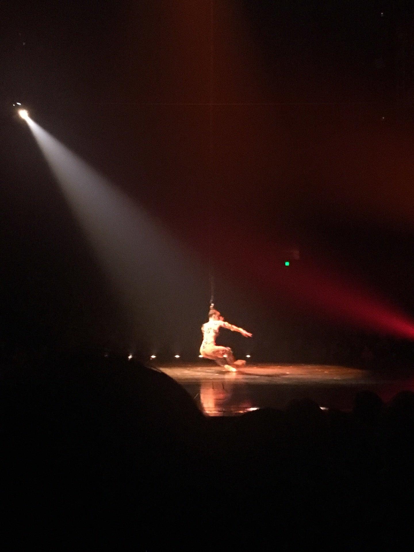 Cirque du Soleil Volta