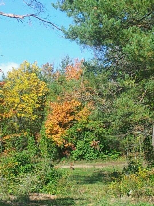 Maitland Bank Cemetery