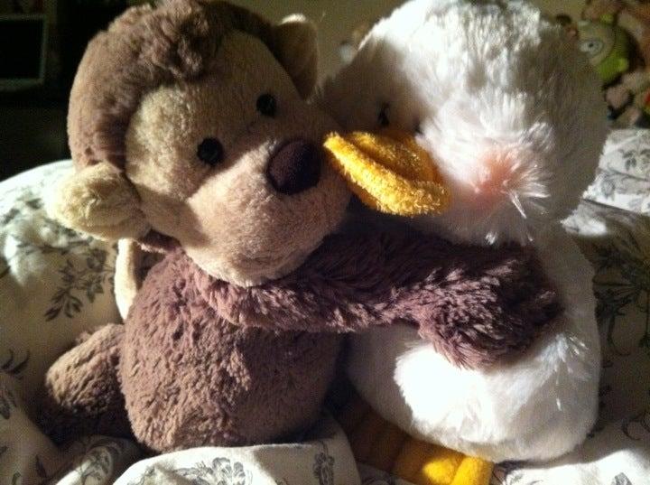 Luxury Bob Rehearsal Space