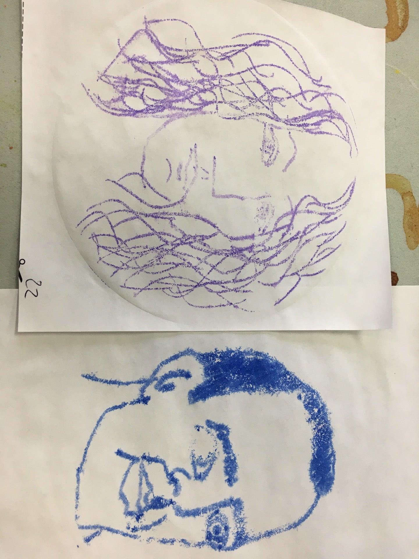 Sandrine Pelissier Visual Artist