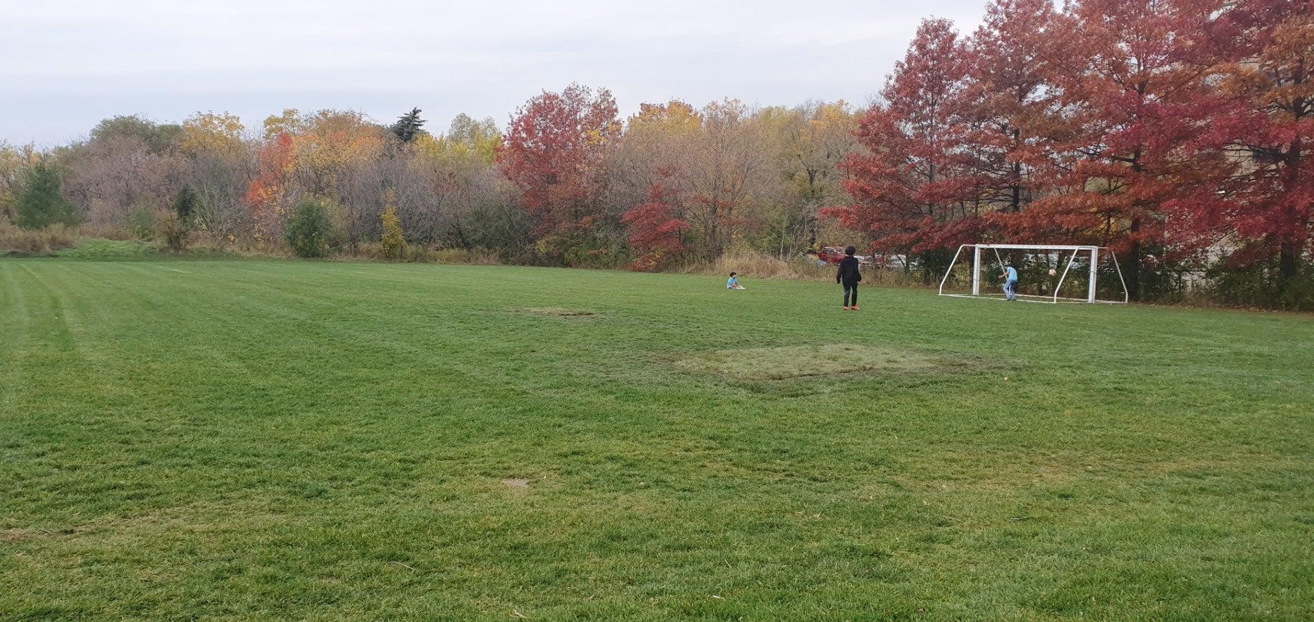 Harding Park Football Field