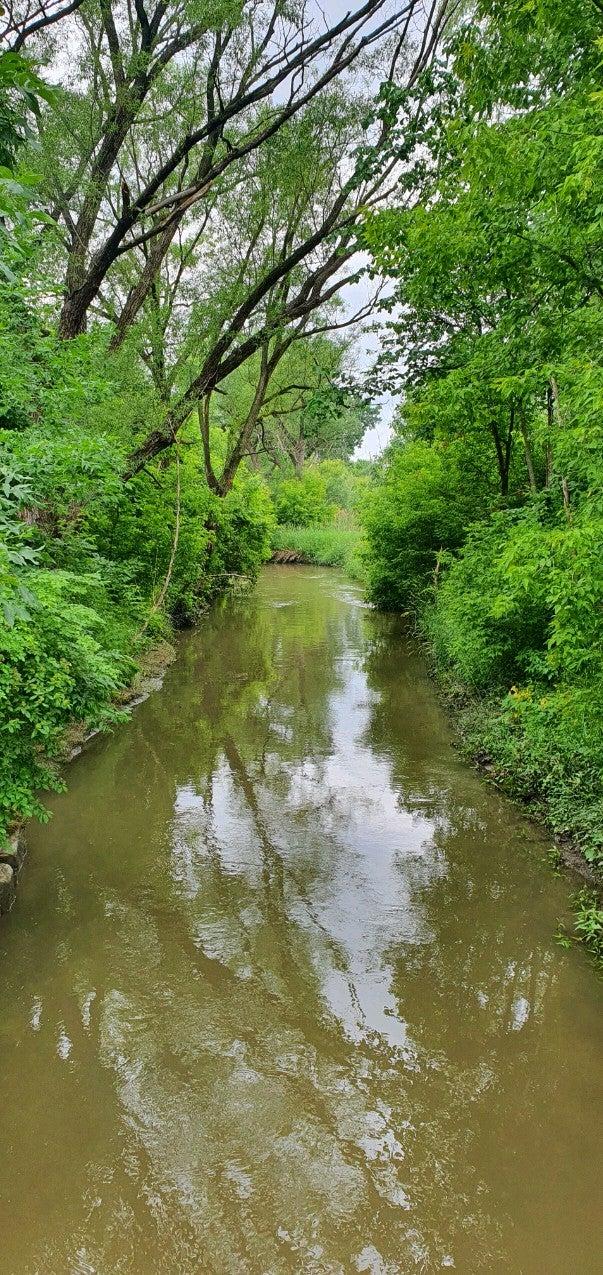 Downsview Dells Park