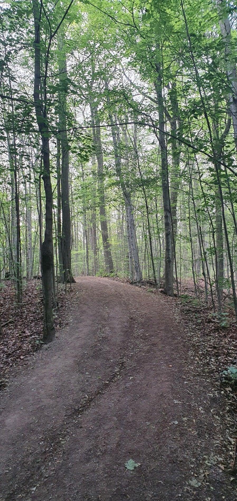 Maple Nature Reserve