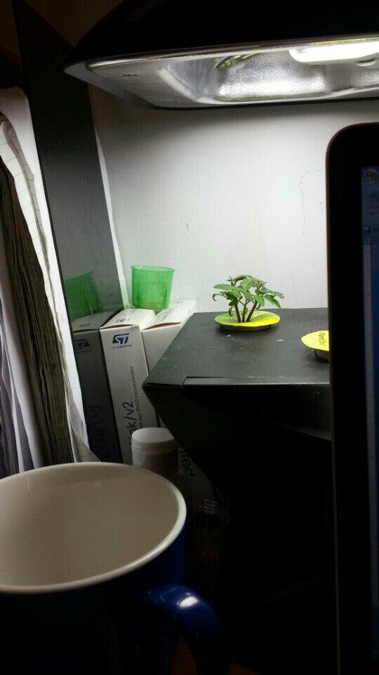 Fortress Technology Inc