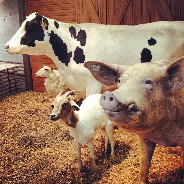 Bruce D. Campbell Farm & Food Discovery Centre