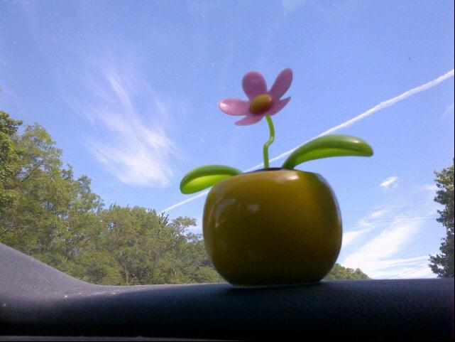 Franktown Grocery Gas and Pizza